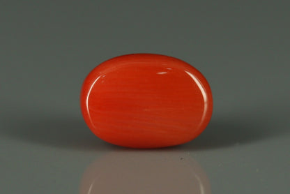 Coral  - 3.05ct - KC112420