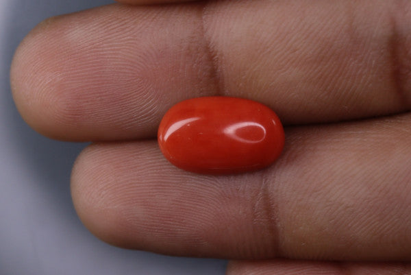 Coral  - 3.75ct - KC114015