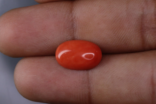 Coral  - 3.2ct - KC114018