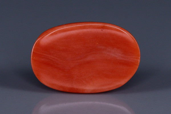 Coral  - 3.5ct - KC114019