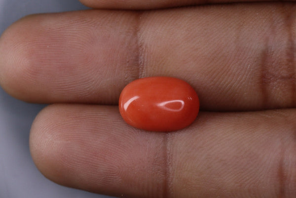 Coral  - 3.5ct - KC114019