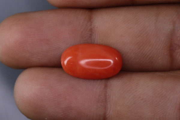 Coral  - 3.7ct - KC114020