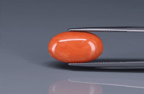 Coral  - 5.55ct - KC114021