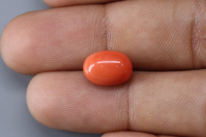 Coral  - 4.3ct - KC114022