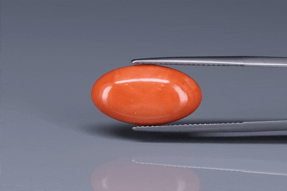 Coral  - 6.8ct - KC114023