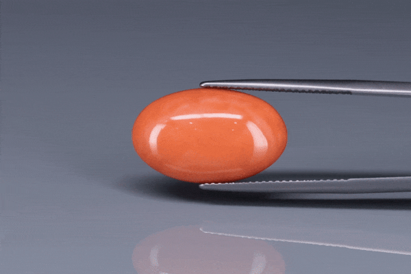 Coral  - 10.7ct - KC114025