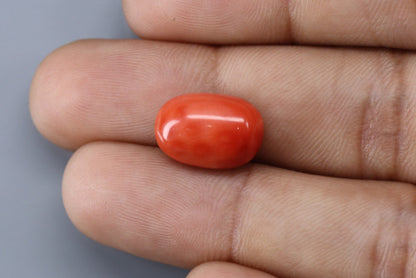 Coral  - 7.2ct - KC114026