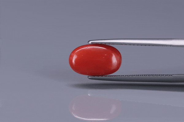 Coral  - 2.6ct - KC114128