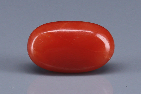 Coral  - 2.6ct - KC114128