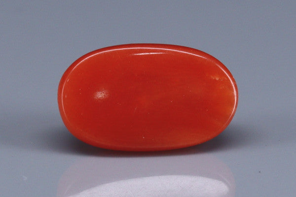 Coral  - 2.6ct - KC114128