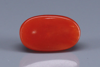 Coral  - 2.6ct - KC114128