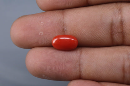 Coral  - 2.6ct - KC114128