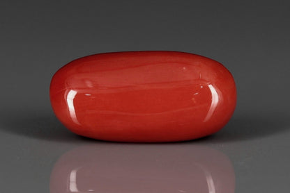 Coral  - 12.55ct - KC212028