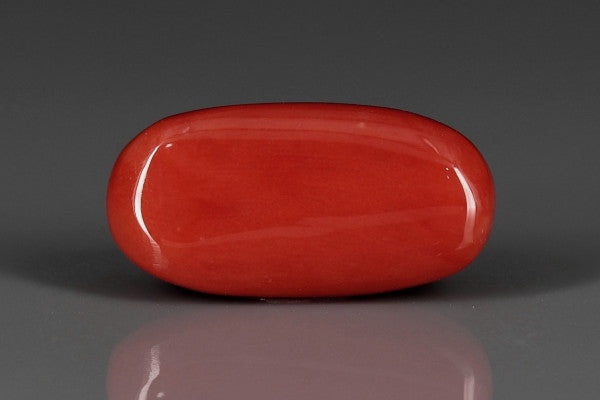 Coral  - 12.55ct - KC212028