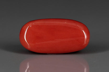 Coral  - 12.55ct - KC212028