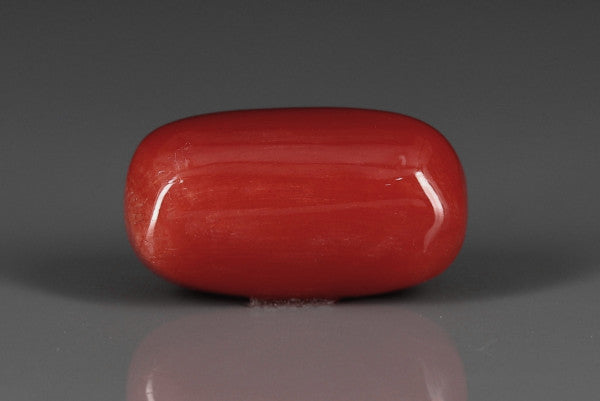 Coral  - 11.9ct - KC212031