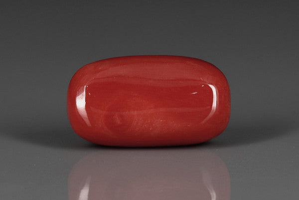 Coral  - 19.25ct - KC212032