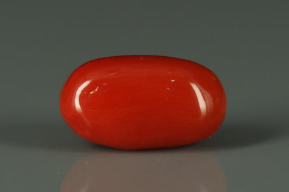 Coral  - 3.5ct - KC212545