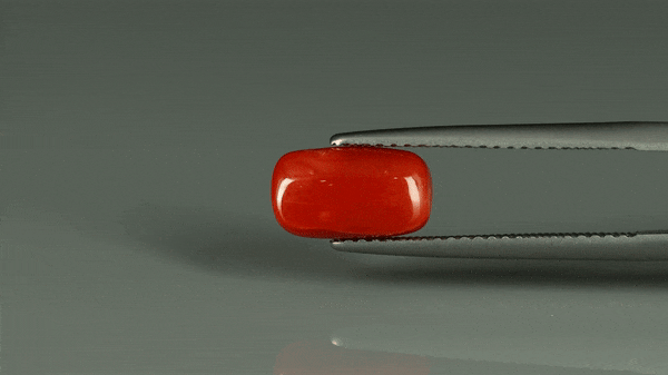 Coral  - 2.75ct - KC212546