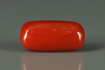 Coral  - 2.7ct - KC212547