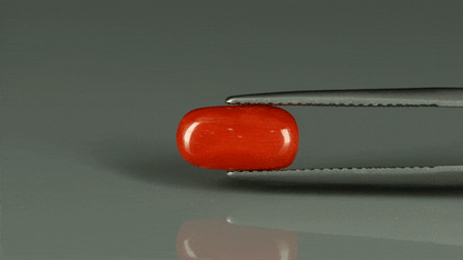 Coral  - 2.8ct - KC212548
