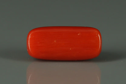 Coral  - 2.65ct - KC212549