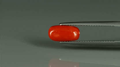 Coral  - 2.65ct - KC212550
