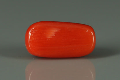 Coral  - 2.65ct - KC212550
