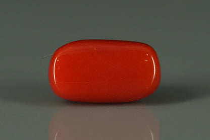 Coral  - 2.65ct - KC212551