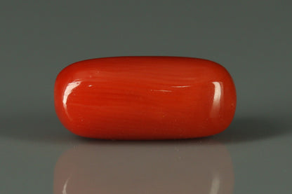 Coral  - 2.8ct - KC212552