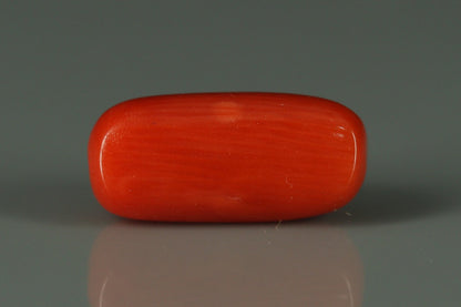 Coral  - 2.8ct - KC212552