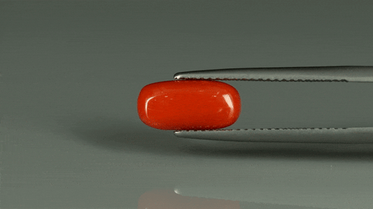 Coral  - 2.85ct - KC212554
