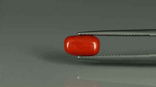Coral  - 2.65ct - KC212555