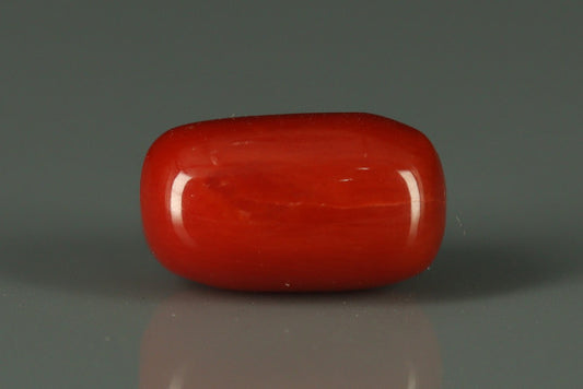 Coral  - 2.65ct - KC212555