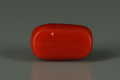 Coral  - 2.65ct - KC212555