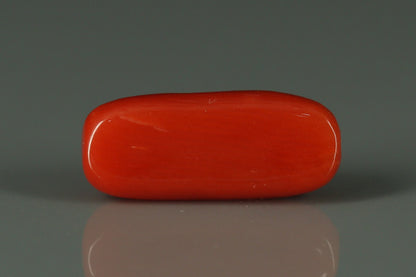 Coral  - 3.3ct - KC212556