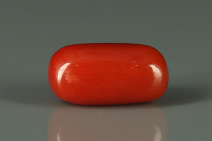 Coral  - 2.8ct - KC212589