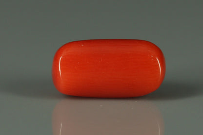 Coral  - 2.8ct - KC212589