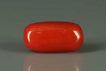 Coral  - 2.75ct - KC212591