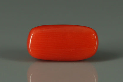 Coral  - 2.75ct - KC212591