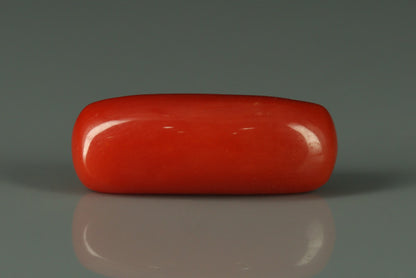 Coral  - 7.2ct - KC212638