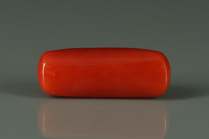Coral  - 7.2ct - KC212638