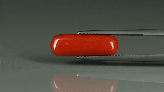 Coral  - 7.4ct - KC212644