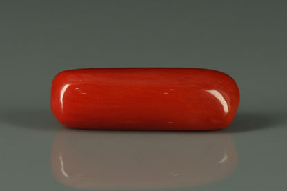 Coral  - 7.4ct - KC212644
