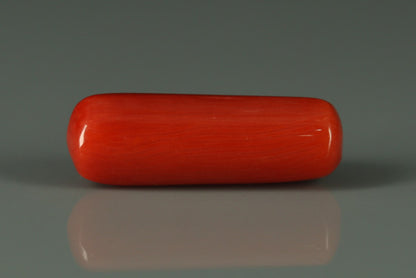Coral  - 7.4ct - KC212644