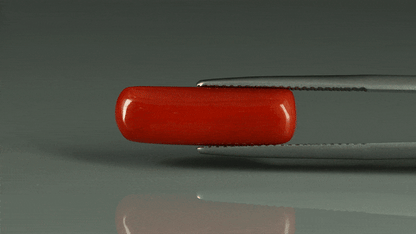 Coral  - 7.4ct - KC212646