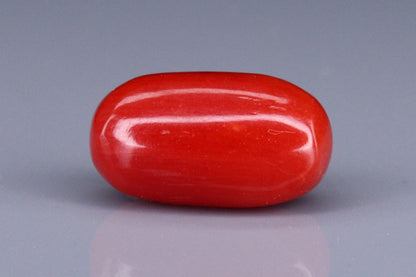 Coral  - 3.75ct - KC213970