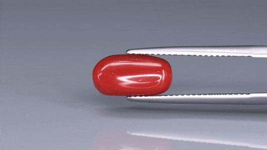 Coral  - 3.6ct - KC213973