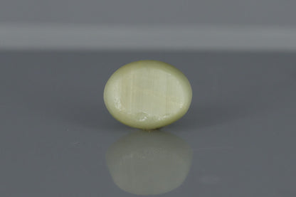 Cat's Eye - 6.1ct - KCE211133
