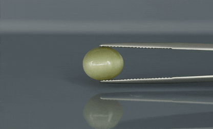 Cat's Eye - 5.825ct - KCE211140